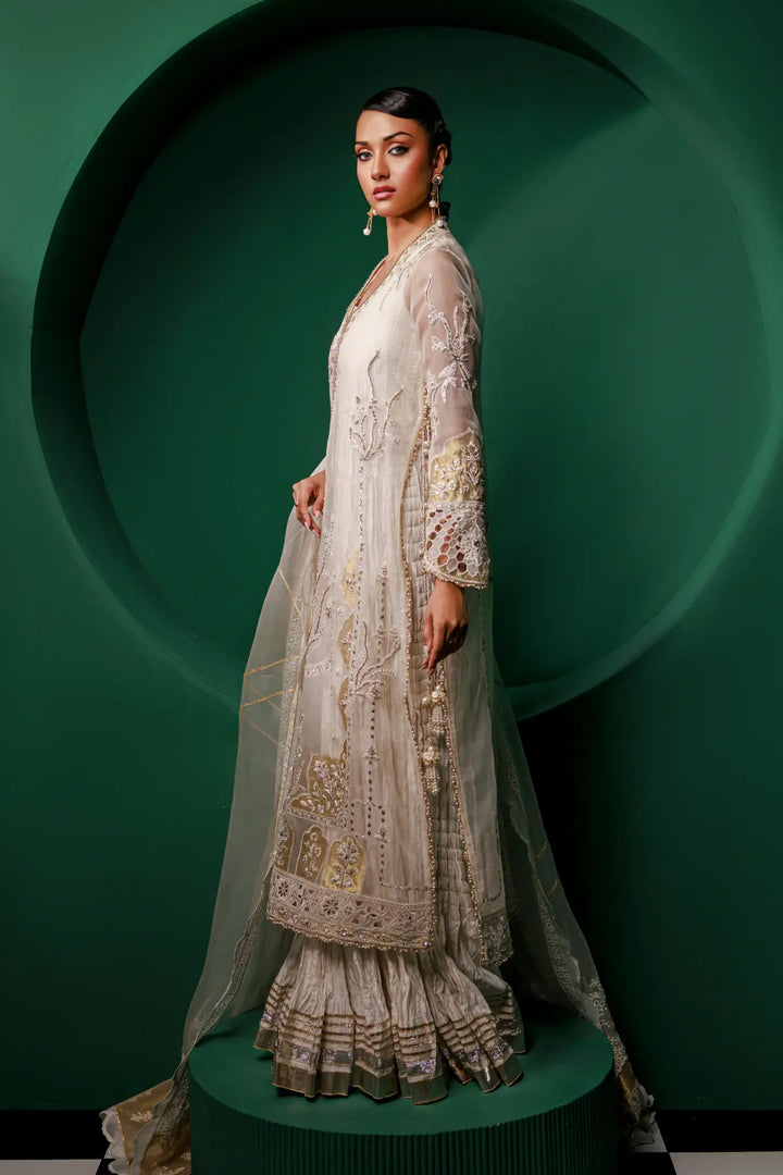Emur - Full Set / Pure Organza / Pure Organza / Tussar Silk / XS - Zuri ...